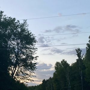 Meet your Posher, Gracie